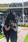 241025-Race 2-Addragoole-2284