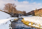 Clough Brook in Wildboarclough