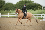 SBM_000155