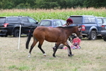 WJ6_6194