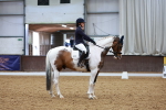 SBM_003531