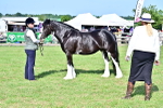 SBM_10112