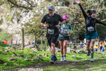 Dovedale Dash-2172