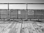 Undisposed 01