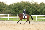 SBM_000164