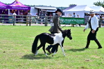 SBM_03579