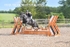 BPP_3717