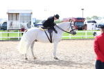 SBM_03258