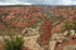 Spider Rock-3