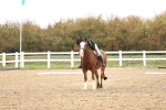 SBM_001959