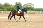 SBM_006592
