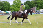 SBM_02478