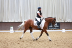 SBM_010253