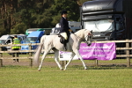 SBM_12295