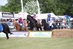 SBM_09947