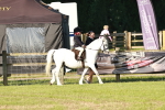 SBM_10988