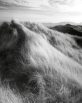 The Dune road