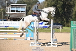 6 Foxhunter 1m 20 Open portfolio
