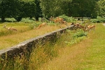 Fallow Deer herd jumping wall - Bradgate Park