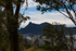 Mt Warning from old Tyalgum tip site park 3
