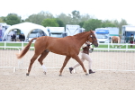 SBM_15355