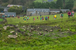 Litton-283
