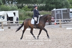 BPP_8009