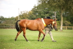 SBM_62903