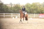 SBM_000949
