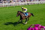 100726-Race 5-Dark Moon Rising-0364