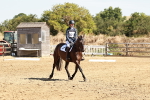 SBM_001375