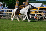 SBM_10003