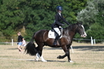 WJ7_9101