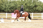 SBM_001245