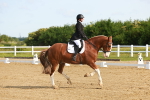 SBM_006931