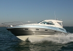 081112 INSTINCT IMG_0299