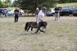 WJ6_7008