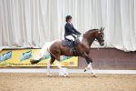 SBM_000803