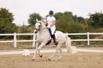 SBM_008705