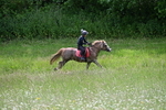 WJ7_8738