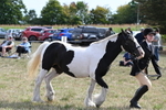 WJ6_6638
