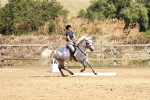 SBM_001615