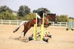 SBM_002205