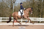 089-Amy.Ward portfolio