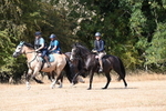 WJ6_9042