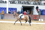SBM_010203