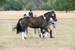 WJ6_6366
