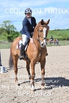 BPP_5328