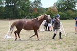 WJ6_5925