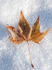 Wimpole Hall 16Dec22-21